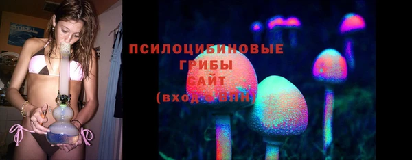 COCAINE Горно-Алтайск