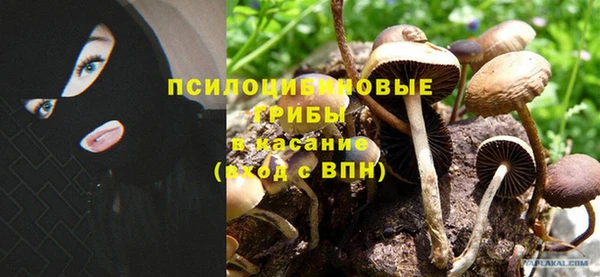 бошки Вязьма
